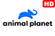 logo animal planet